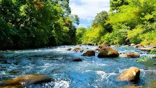 NATURE&rsquo;S FLOW LIVE ASMR FOR SLEEP, STUDY & STRESS RELIEF MINDFULNESS & INNER PEACE