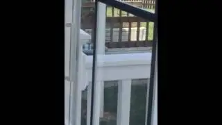 Birds kissing in water fountain