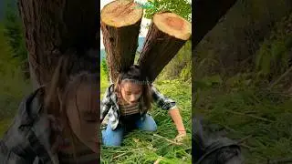 Strong Woman Lift and Carry | Part 159 | #shorts #liftcarry #liftandcarry #carrylift