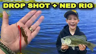 Drop Shot + Ned Rig = Unexpected Bass Results