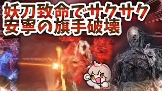 パリィ&rarr;妖刀致命が強すぎる！安寧の旗手と執行者の相性が◎すぎてもはや楽しい【ELDENRING NIGHTREIGN 切り抜き】