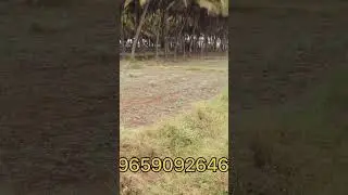 Low budget land in Udumalpet l #udumalpet #cheap #shorts