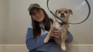 Puppy Love and MCT