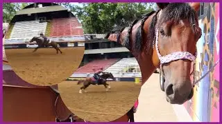 WEEK 3 RUNNING AT MESQUITE PRO RODEO!