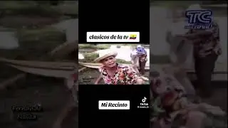 MI RECINTO ARROZ MALO