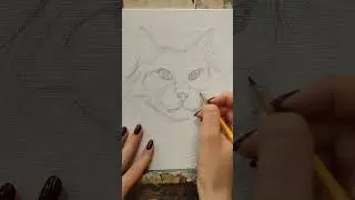#art #drawing #onepalette #животные #котик #портреткота#рисованиеживотных