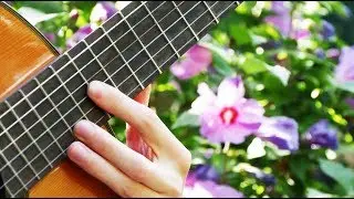 Natalia - Georges Moustaki (Guitar Cover)