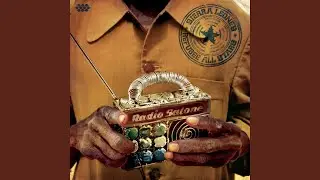 Reggae Sounds The Message