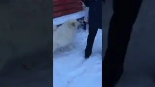 Зумми)))