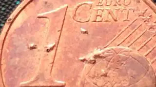 1 euro cent France 2012 Defect Numismatics 11 000 &euro;