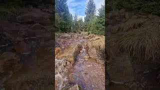 Rivers of Harz Mountain.  #HarzMountain #RiverViews #NatureAdventure #DiscoverHarz