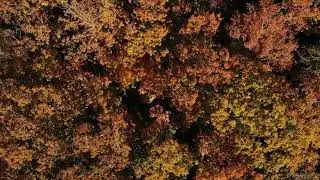 Mavic Air... GO4 edit