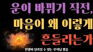 운이 바뀌기 직전, 마음이 왜 이렇게 흔들리는가 ㅣ 부처님 말씀 ㅣ 불안·고독·관계 변화의 숨겨진 의미