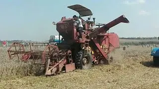 Tachlovická Hrouda 2019