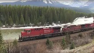 CP Train Spotting HD: Nice K5HL! | CP 8536 8647 8900 & DPU 9832 CP 198 Mile 113.00 10/10 5/10/17