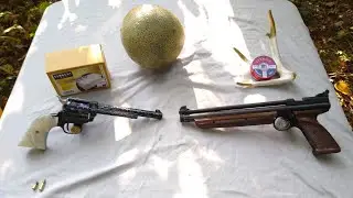 22 short vs pellet gun! Which is more lethal?