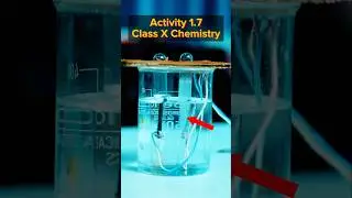 Live Experiments: NCERT Activity 1.7 Chemical Reaction and Equations | Class 10th