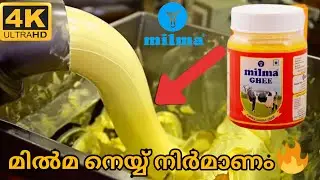 മിൽമ നെയ്യ്, ബട്ടർ എന്നിവ ഫാക്ടറിയിൽ ഉണ്ടാക്കുന്നത് കാണാം | How #Milma Butter Processed in Factory