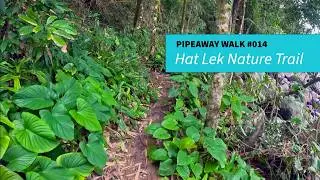 Hat Lek Nature Trail 🌿 Khao Lak-Lam Ru National Park - Pipeaway Walk 014