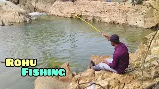 Rohu fish catching in beautiful location's #rohufishing #rohubait #lakefishing #fishing #youtube 
