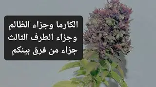 الكارما وجزاء الظالم