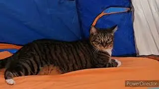 Kai camping
