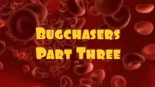 Bugchasers (Part Three)