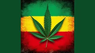 Roots and Culture