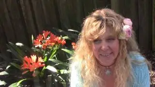 Welcome Australian Wildflower Reading Cards Online Launch