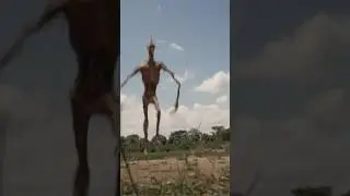 Siren Head Encounter 