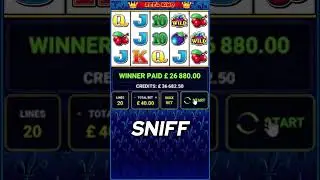 The Bandit gambles the Reel King slot on High Stakes so you don't have to! #thebandit #slot