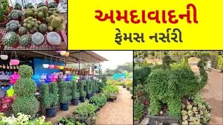 અમદાવાદની ફેમસ નર્સરી | AHMEDABAD NI FAMOUS NURSERY