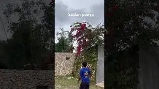 #wisataalam #toraja #sulawesiselatan #fypシ゚viral