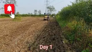 Wheat Farming Journey: From Seed to Harvest Day 1