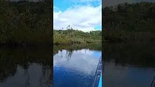 Navegando por el R&iacute;o Chepu. #isladechilo&eacute; #chilo&eacute; #chepu #ancud #naturaleza #floranativa #humedal