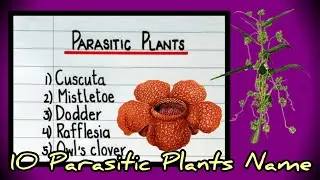 Parasitic plants name|parasitic plants names list| parasitic plants examples