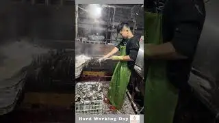 The Process Of Cleaning Duck Feathers