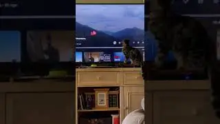 Buy Premium Solo Ads