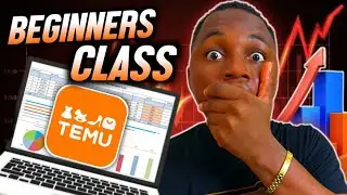 Temu Affiliate Program Tutorial For Beginners (My $10k Commission Blueprint)