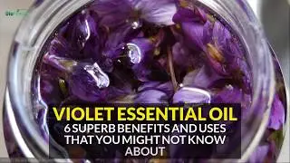 6 Superb Benefits and Uses of Violet Essential Oil That You Might Not Know About