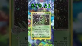 Top 10 Sceptile Pokemon Cards (Price)(English) (October 2025)