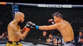 UFC Fight Night Vera vs Cruz Vicious KO!