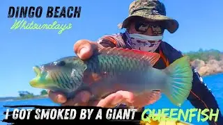 Drift Fishing Dingo Beach: The Most Effective Way To Fish The Shallows!🎣💯