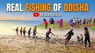 Fishing River | Village Fishing | Fishing Video | Odisha Fishing | Net Fishing | Boat Fishing |