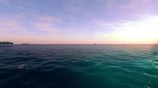 Ooh, Barracuda: Fishing Planet Comp
