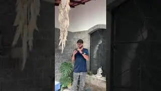 Flauta Celta (tin whistle) Fee Ha Huri - Omnia