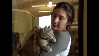 Energy Efficient Paws & Claws Rescue & Resort Finally Opens In Hackensack