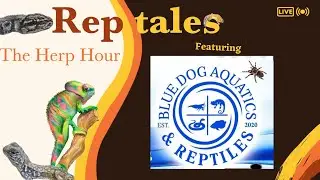 Reptales Presents Blue Dog Aquatics and Reptiles