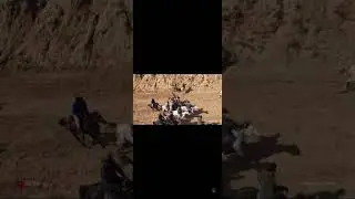 Баромади бахтовар човандози ш хисор #kd #horse #панджакент