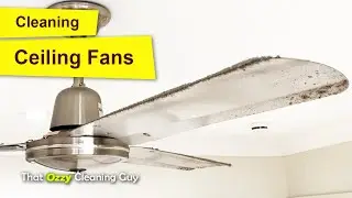 How I Clean Ceiling Fans